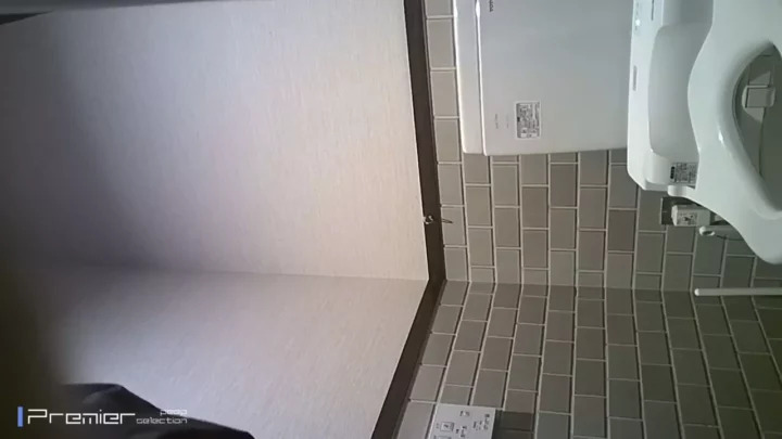 【隠し撮り】女子トイレ潜入！8人目の衝撃映像 のスクリーンショット 2