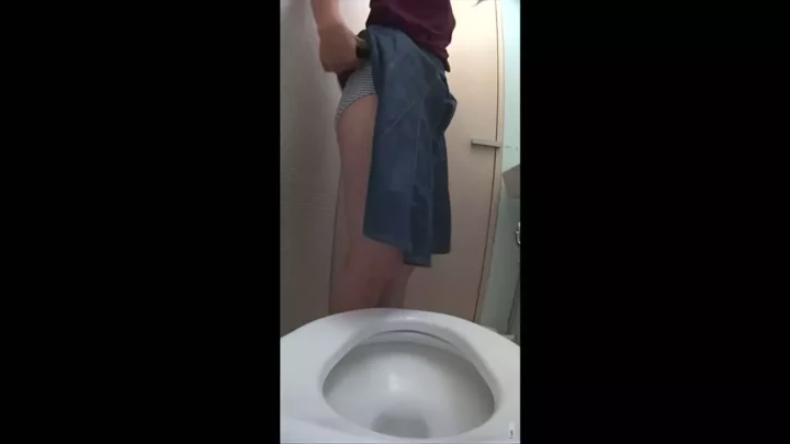 【復活】隠し撮り！トイレで魅せるプリプリ排泄 のスクリーンショット 2