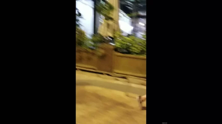 【衝撃】中国トイレ盗撮！まさかの瞬間を激写 のスクリーンショット 3