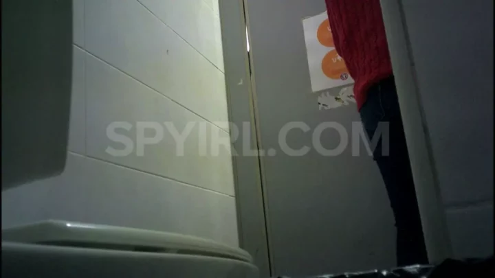 韓国の隠れたトイレで、密かに捉えた美しき瞬間 のスクリーンショット 4