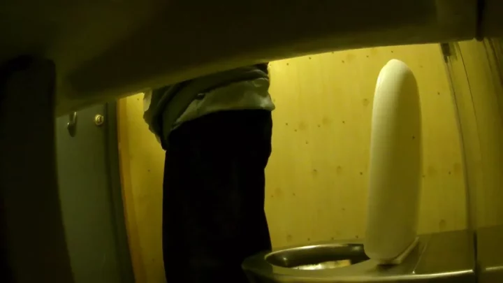 盗撮！公衆トイレの覗き穴から見た秘め事 のスクリーンショット 1