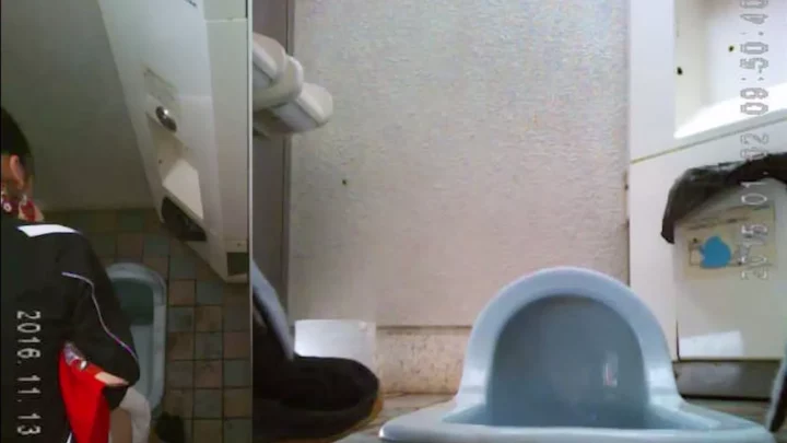 女子トイレ盗撮！知らずに用を足す美女たちの秘密 のスクリーンショット 5