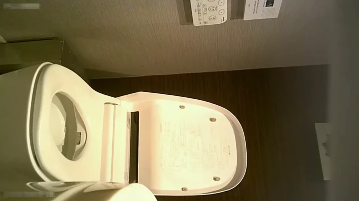 【衝撃盗撮】トイレでデリケートゾーンを処理する美女 のスクリーンショット 6