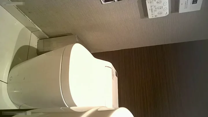 【衝撃盗撮】トイレでデリケートゾーンを処理する美女 のスクリーンショット 7