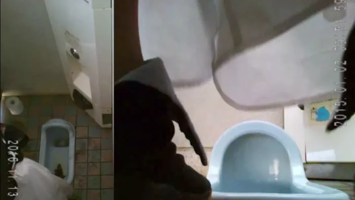 女子トイレ盗撮！知らずに用を足す美女たちの秘密 のスクリーンショット 8