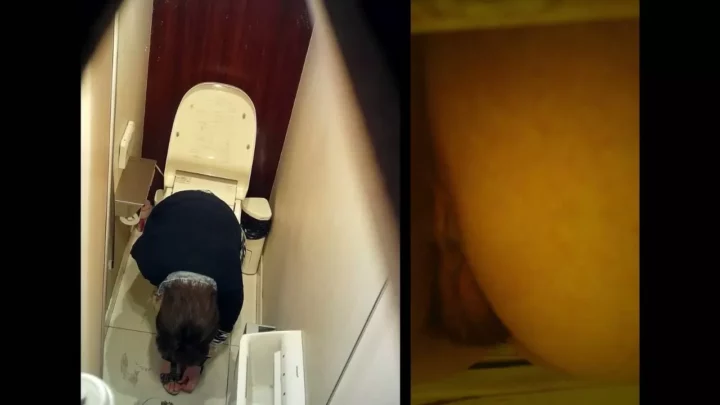 お洒落な洋風レストランの共同トイレで大胆な行為 のスクリーンショット 2