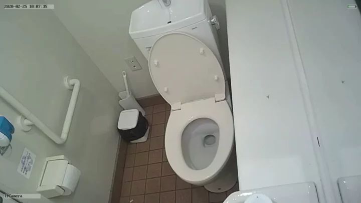 和風トイレの極秘盗撮 無毛美女の羞恥瞬間 のスクリーンショット 2