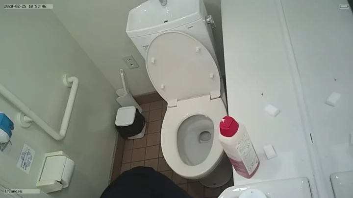 和風トイレの極秘盗撮 無毛美女の羞恥瞬間 のスクリーンショット 3