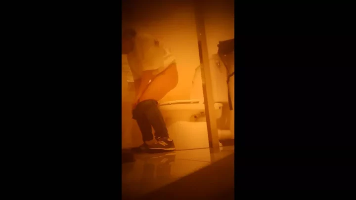 盗撮！トイレに仕掛けられた隠しカメラ のスクリーンショット 12