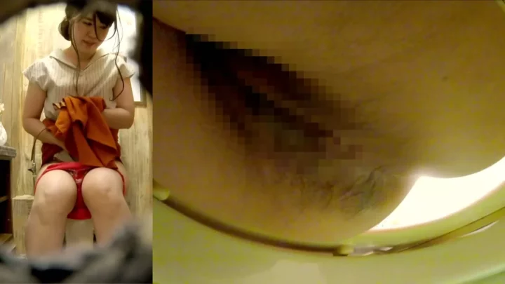 盗撮カメラが暴く！カフェトイレの秘密と女性客の無防備な瞬間 のスクリーンショット 4