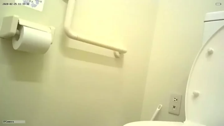 和風トイレの極秘盗撮 無毛美女の羞恥瞬間 のスクリーンショット 4