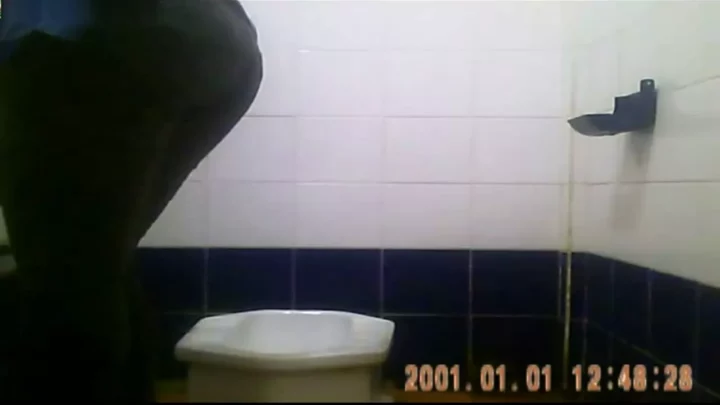 タイの公衆トイレ盗撮！大胆お尻丸出しの決定的瞬間 のスクリーンショット 16