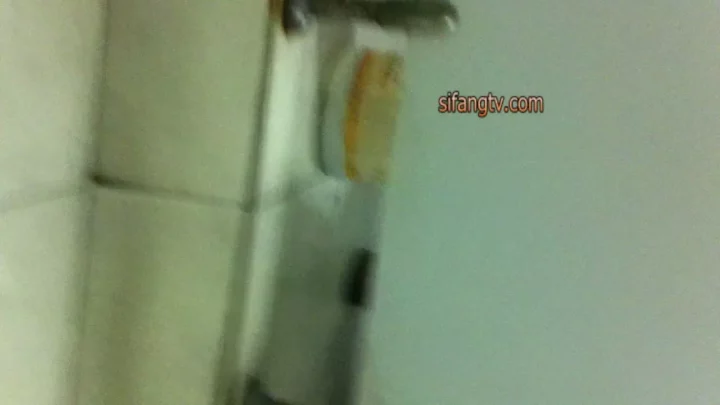 中国トイレ隠し撮り！大胆露出の美尻に釘付け のスクリーンショット 1