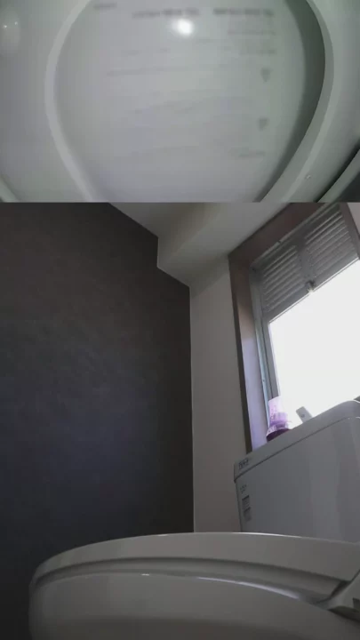 隠しカメラで捉えた！研修施設トイレ盗撮・複数アングル のスクリーンショット 2