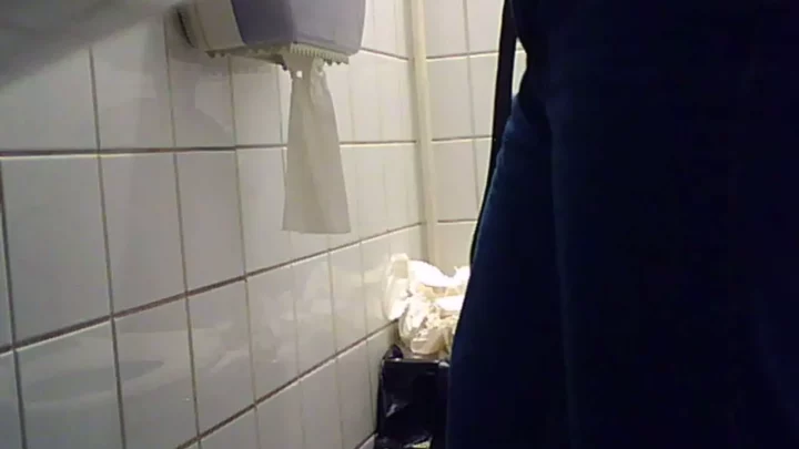 女子トイレの密室で繰り広げられる甘美な秘め事 のスクリーンショット 10