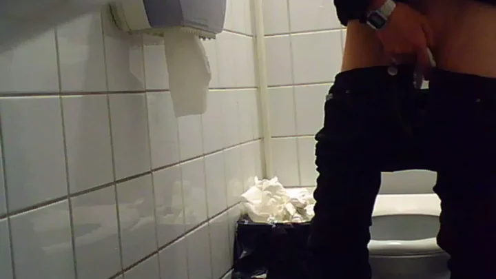 女子トイレの密室で繰り広げられる甘美な秘め事 のスクリーンショット 12