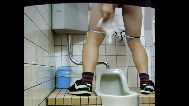 Hidden Cam Toilet Japanese Voyeur Hi-Vision 洋式トイレ空撮映像　10名収録 のスクリーンショット 9
