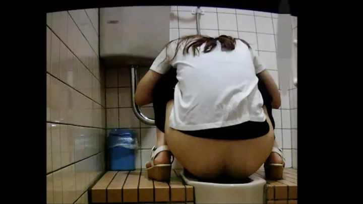 Hidden Cam Toilet Japanese Voyeur Hi-Vision 洋式トイレ空撮映像　10名収録 のスクリーンショット 11