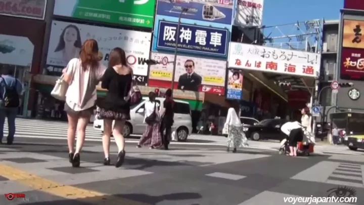 公園で出会った美女のパンチラ…隠し撮りされた日常の誘惑 のスクリーンショット 1