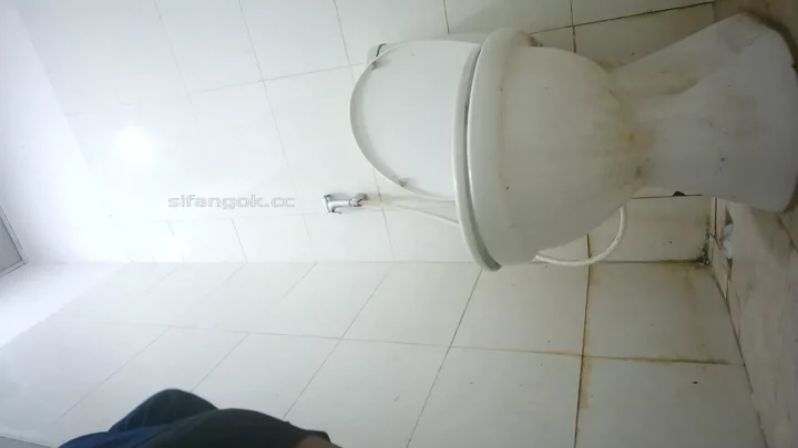 禁断の場所へ…誰もいない公衆トイレの神秘 のスクリーンショット 2
