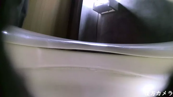 繁盛店の秘密？女子トイレに仕掛けられた盗撮カメラ！ のスクリーンショット 4