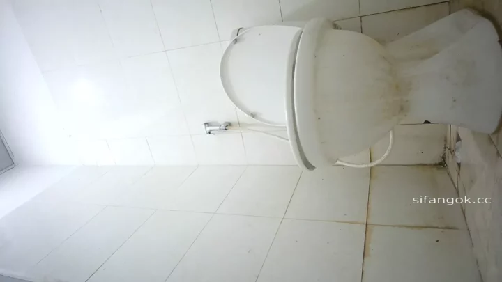 禁断の場所へ…誰もいない公衆トイレの神秘 のスクリーンショット 4