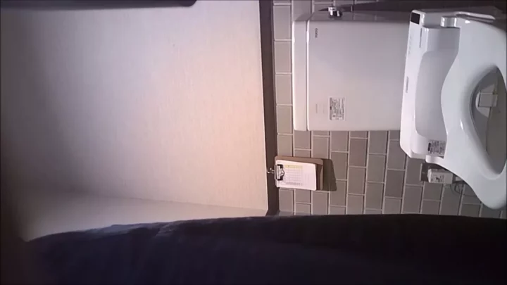 隠しカメラが捉えた！トイレの密室で繰り広げられる秘密 のスクリーンショット 1