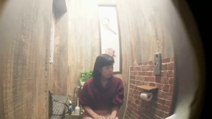 【無修正】盗撮カメラが捉えたトイレの美女たち のスクリーンショット 1