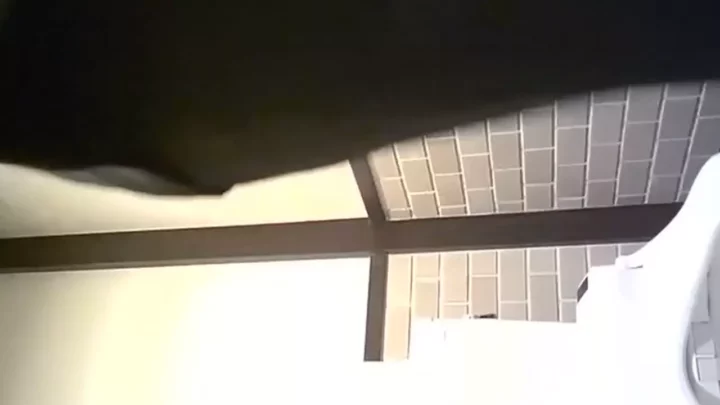 衝撃の盗撮！美女の羞恥心が暴かれる無修正トイレ隠し撮り のスクリーンショット 2