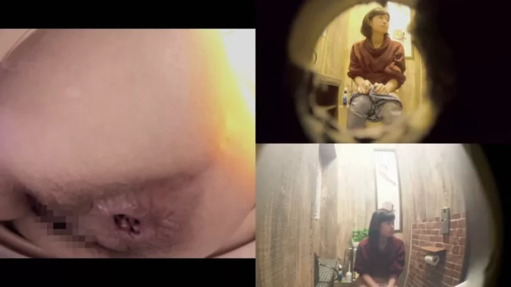 【無修正】盗撮カメラが捉えたトイレの美女たち のスクリーンショット 2