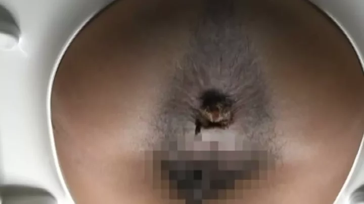 女子トイレ潜入！美尻を覗き見【突撃！隣の女子トイレ46】 のスクリーンショット 6
