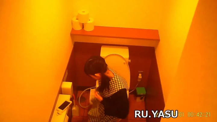 覗き見快感！熟女OLのトイレタイムが丸見え のスクリーンショット 15