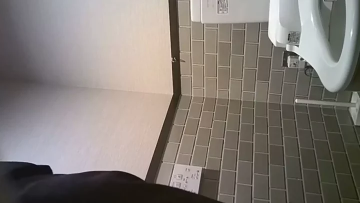 衝撃の盗撮！美女の羞恥心が暴かれる無修正トイレ隠し撮り のスクリーンショット 3