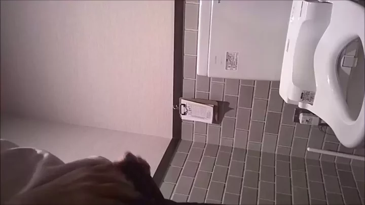 隠しカメラが捉えた！トイレの密室で繰り広げられる秘密 のスクリーンショット 11