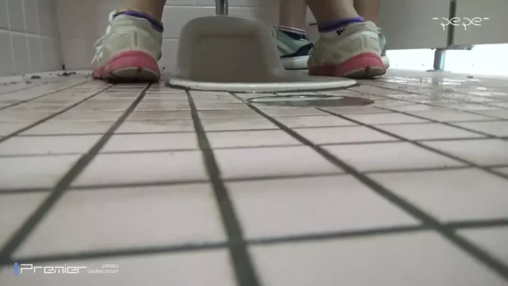 女子トイレの秘密：隠しカメラが捉えた決定的瞬間 のスクリーンショット 3