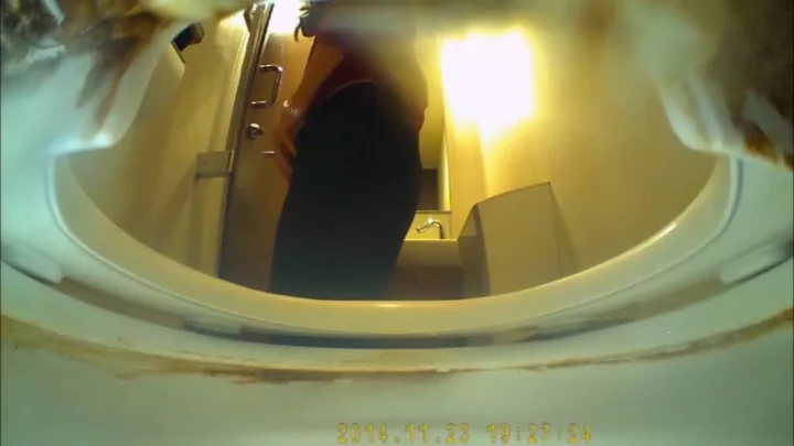 花園熟女の秘め事：公衆トイレで繰り広げられる官能劇 のスクリーンショット 8