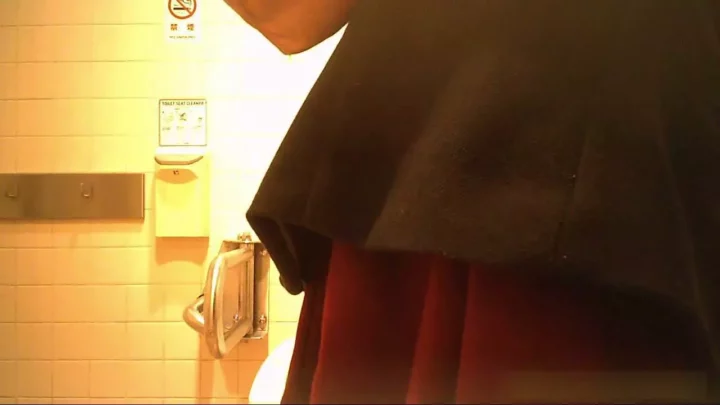 【衝撃映像】デパートの裏側で繰り広げられる秘密のトイレ盗撮 のスクリーンショット 5