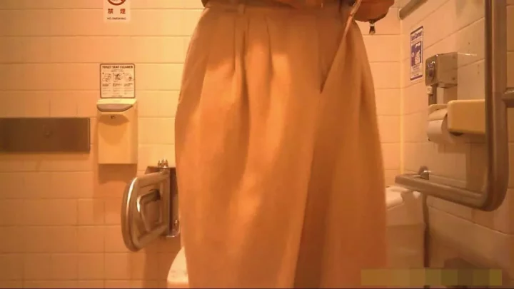 【衝撃映像】デパートの裏側で繰り広げられる秘密のトイレ盗撮 のスクリーンショット 9