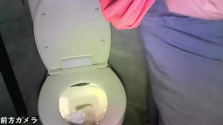 山奥の公衆トイレで野外排泄！大胆お姉さんの決定的瞬間 のスクリーンショット 1