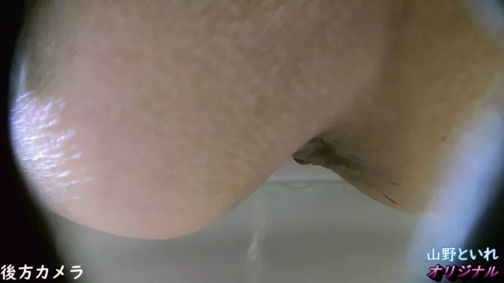 【トイレ盗撮】厳選！隠しカメラが捉えた美少女の素顔 のスクリーンショット 3