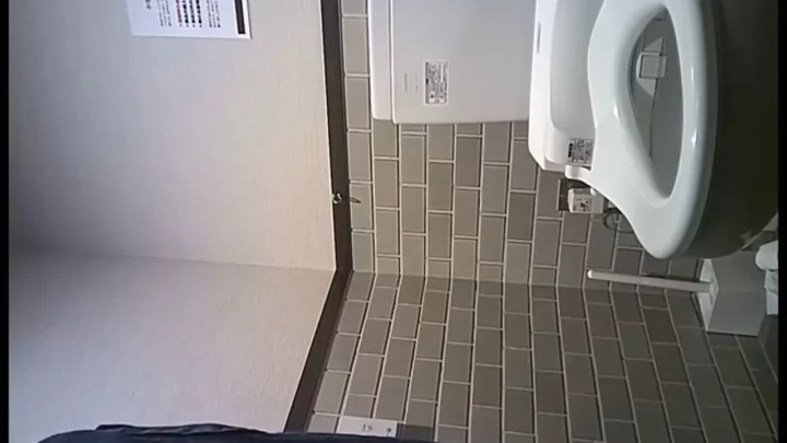 潮風と秘め事…ビーチ公衆トイレ盗撮の衝撃 のスクリーンショット 4