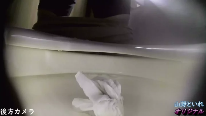 山のトイレでまさかの遭遇！麗しの美女を盗撮 のスクリーンショット 1