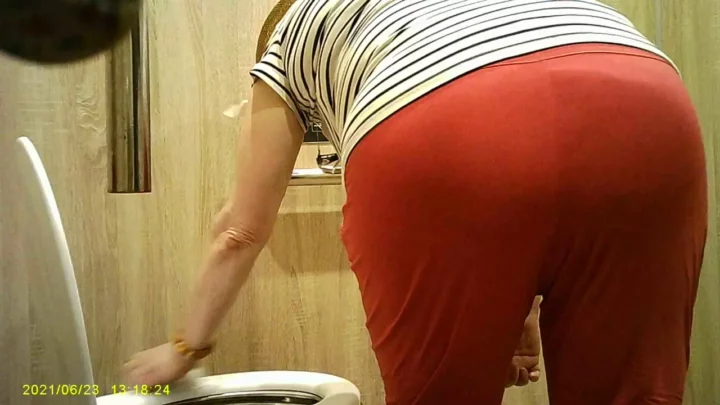 覗き見！公衆トイレの秘め事 221 のスクリーンショット 1
