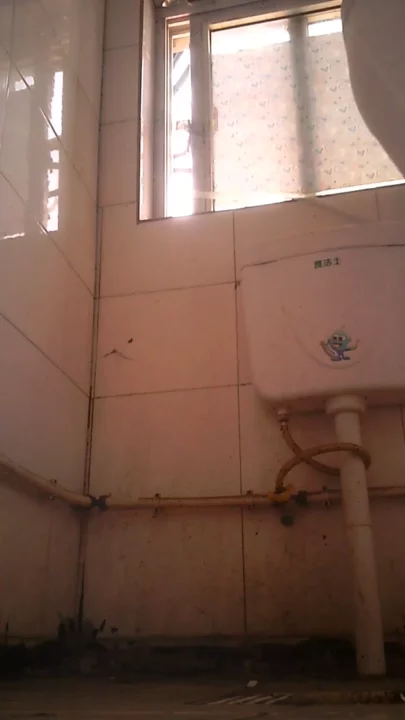 ショッピングセンター潜入！盗撮カメラが捉えた女子トイレの秘め事 のスクリーンショット 2