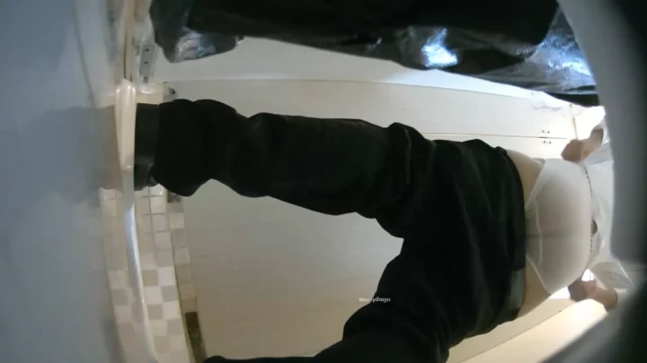 隠しカメラが捉えた！ナイトクラブのトイレでの密会 のスクリーンショット 3
