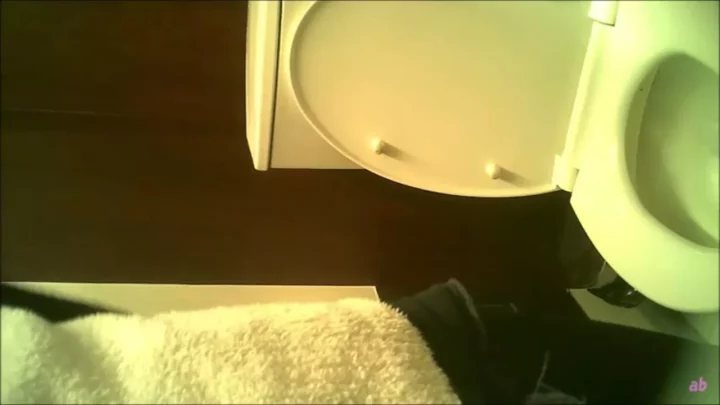 欲望を覗き見…トイレ盗撮シリーズ第一弾！ のスクリーンショット 11