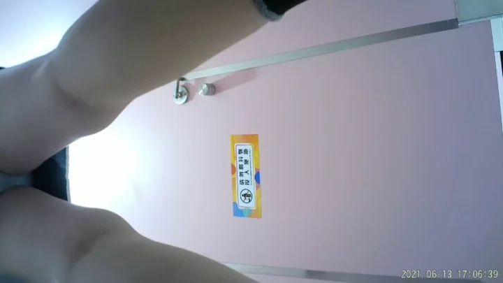 隠しカメラが捉えた！魅惑のトイレタイム のスクリーンショット 4