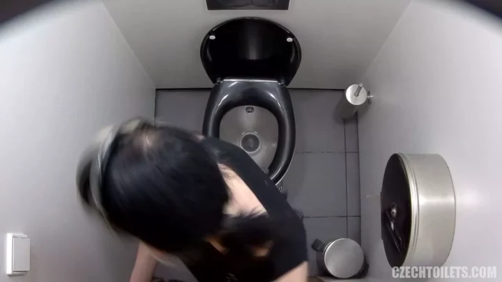 チェコ美人を隠し撮り！トイレの密室で覗き見 のスクリーンショット 12