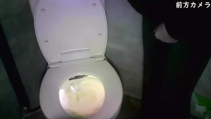 山のトイレでまさかの遭遇！麗しの美女を盗撮 のスクリーンショット 4