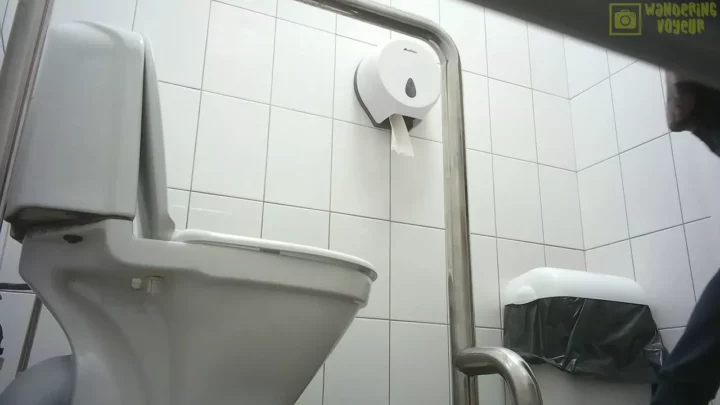 欲望が交錯する密室… 公衆トイレで蠢く快楽